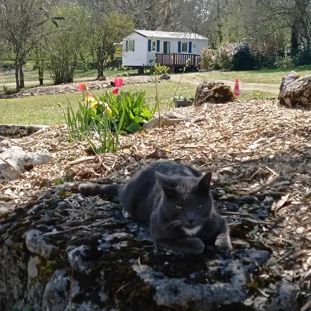 Le Bel Air Mobil Le Palmier 4 Personnes 营地 Limogne-en-Quercy